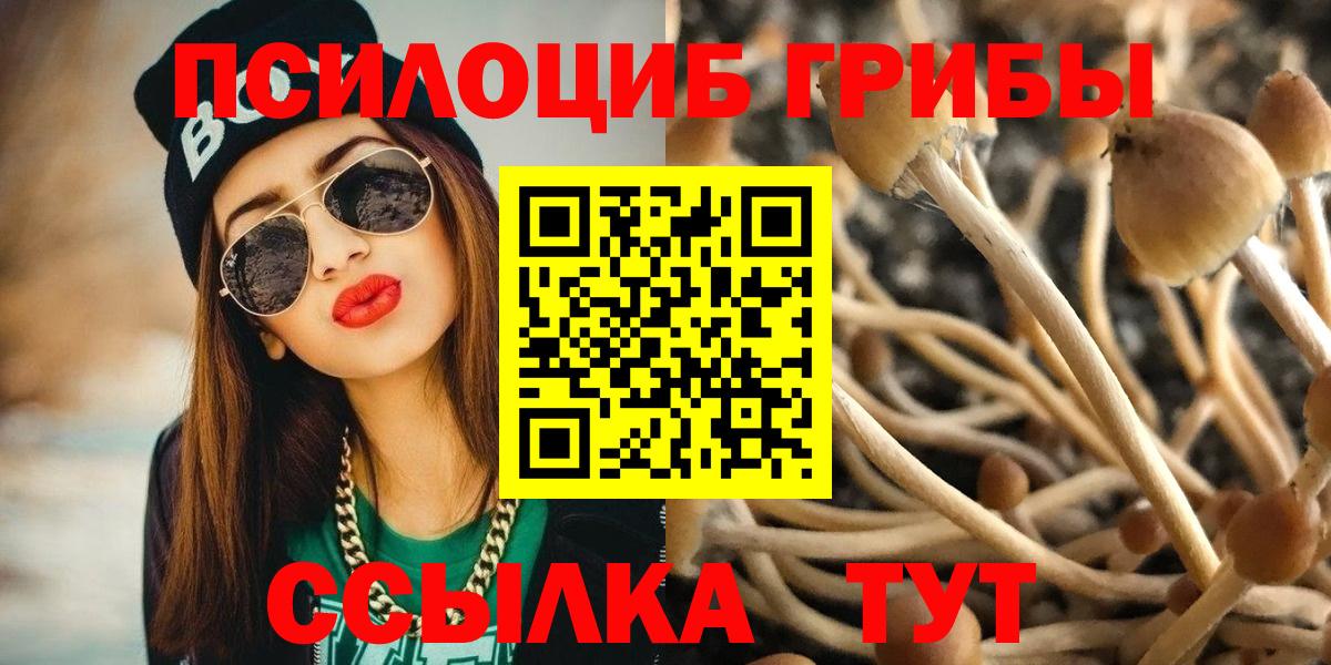 Галлюциногенные грибы Cubensis Зеленокумск