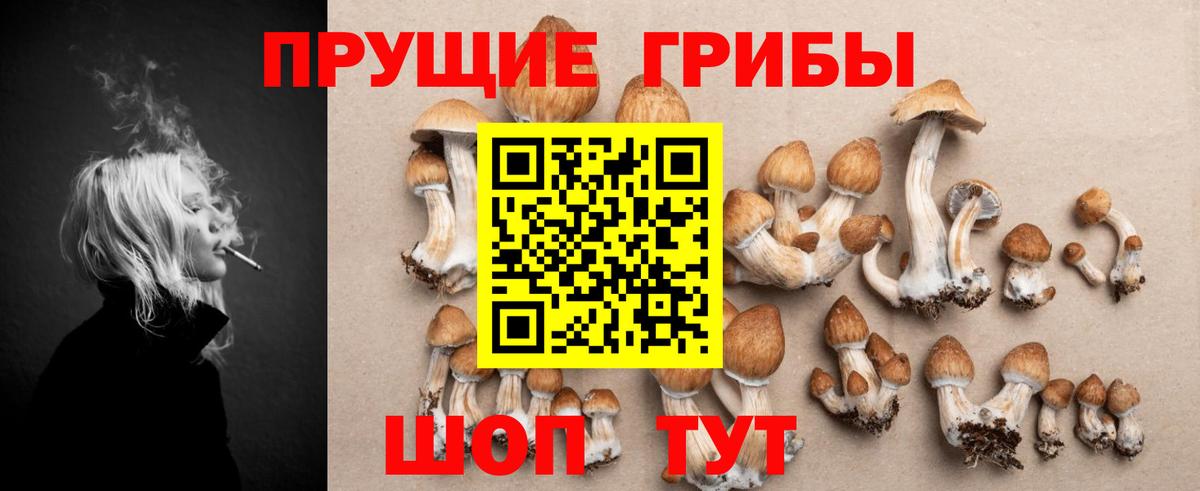 купить наркоту  Вход с VPN  Зеленокумск  Галлюциногенные грибы ЛСД  Галлюциногенные грибы Magic Shrooms 